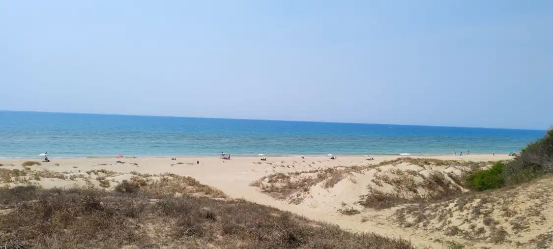 Hotel in zona Spiaggia Lungomare Macchitella