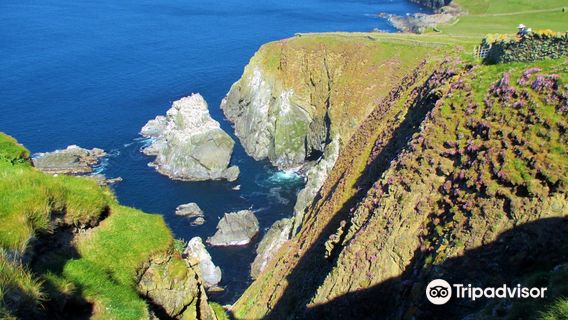 Sumburgh Head Lighthouse, Visitor Centre & Nature Reserve