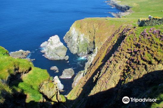 Sumburgh Head Lighthouse, Visitor Centre & Nature Reserve