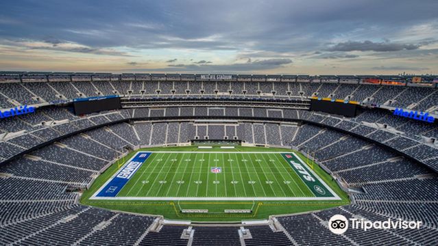 สนามกีฬาเมตไลฟ์