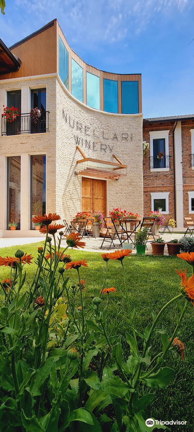 Nurellari Winery Cellar and Guest House