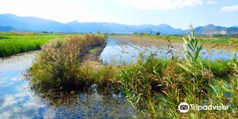Parque Natural del Marjal de Pego-Oliva