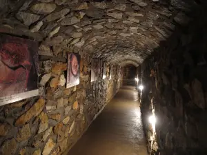 Chynovska Cave