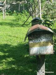 Balay Buhay sa Uma Bee Farm