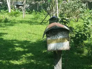 Balay Buhay sa Uma Bee Farm