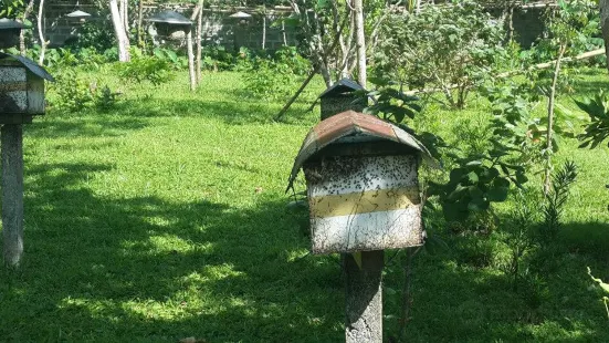 Balay Buhay sa Uma Bee Farm