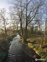 New Hall Valley Country Park