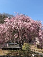 奥日立きららの里