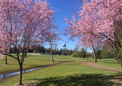 Battle Point Park