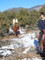 Taos Indian Horse Ranch