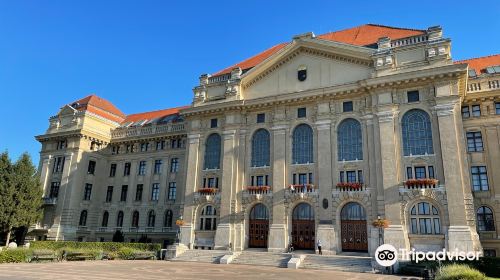 University of Debrecen