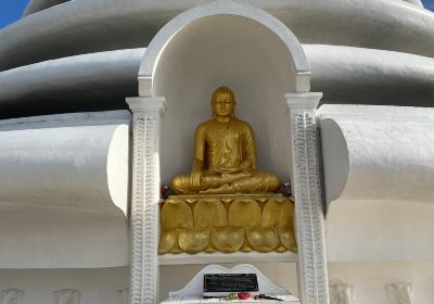 Japanese Peace Pagoda Rumassala