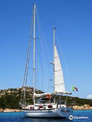 Sailing Yacht Mephisto