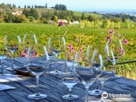 Bethel Heights Vineyard