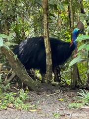 Cape Trib Farm - Fruit Tasting and B&B