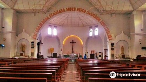 Gereja Santa Perawan Maria Ratu Rosario Suci Randusari - Katedral