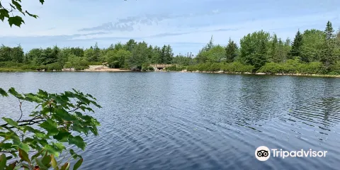 布拉夫荒野步道停車場