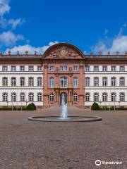 Schloss Zweibrucken