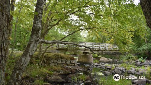 Cameron's Brook Provincial Park