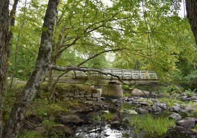 Cameron's Brook Provincial Park