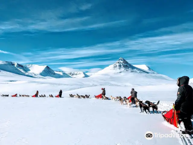Snow Sledding in Tromso