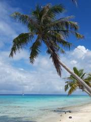 Fakarava beaches