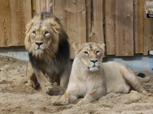 タリン動物園