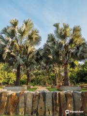 Jardin Botanico Culiacan