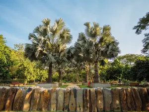 クリアカン植物園