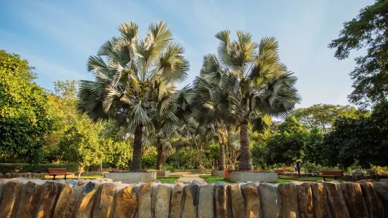 Jardin Botanico Culiacan