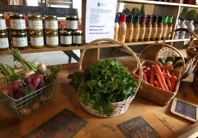 Chestnut Hill Farm Farmstand and CSA