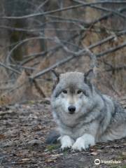 Lakota Wolf Preserve