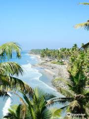 Varkala cliff