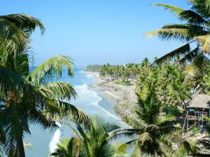 Varkala cliff