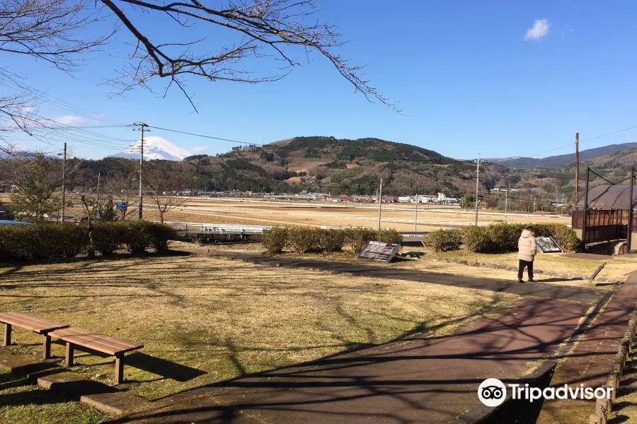 丹那断層公園