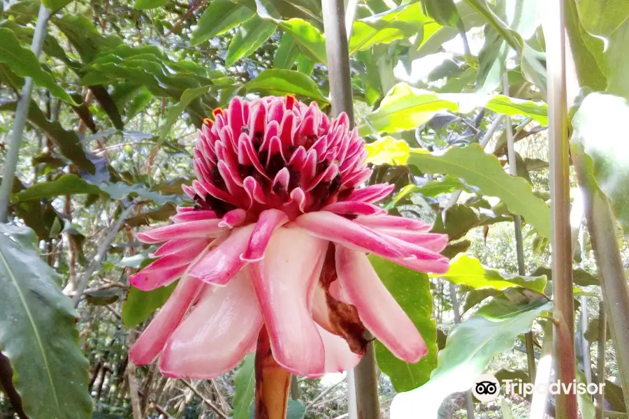 Le Jardin de Bonneville