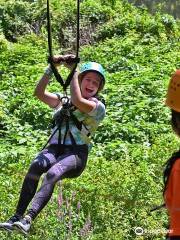 Bronx Zoo Treetop Adventure