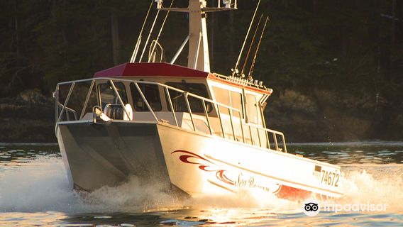 Sea Roamer Charters