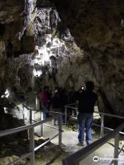 Sontheimer Cave