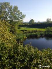 Rhuddlan Nature Reserve