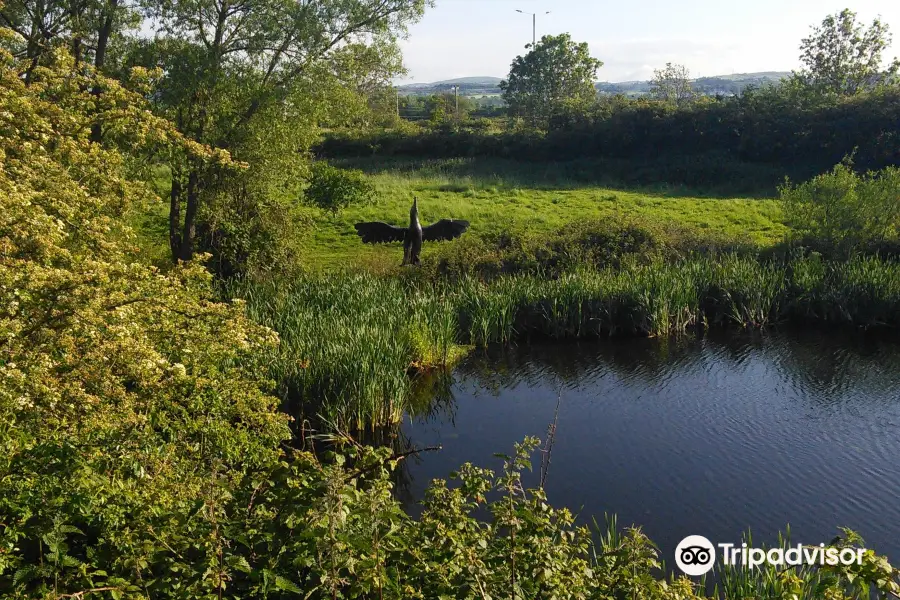 Rhuddlan Nature Reserve