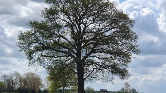 Bradfield Woods National Nature Reserve