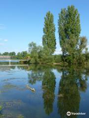 Reseve Naturelle de l'Ile du Rohrschollen