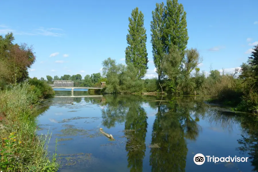 Reseve Naturelle de l'Ile du Rohrschollen