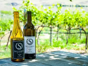 Succession Wines