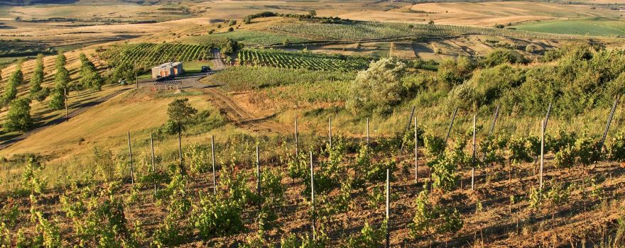 Liliac Winery