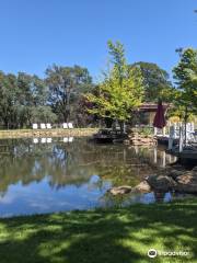 Vina Castellano Winery