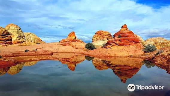 Seeking Treasure Adventures