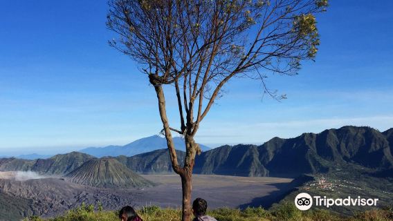 Puncak B29