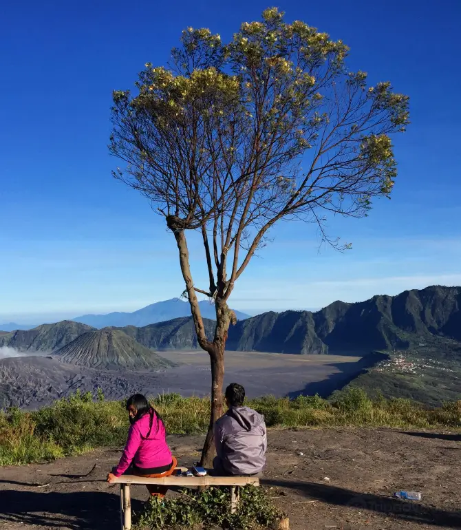 Sumber
